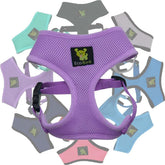 EcoBark Arnés Lavanda para perro con malla transpirable para mayor comodidad diaria