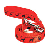 EcoBark: correa para perro naranja acolchada, ofrece paseos más cómodos.