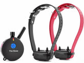 Collar Educator con control remoto y alcance de 1 milla para adiestramiento a distancia.