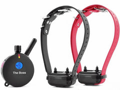 Collar Educator con control remoto y alcance de 1 milla para adiestramiento a distancia.
