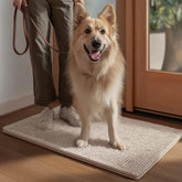 Alfombra para perros EHEYCIGA absorbe humedad al primer contacto, ideal para entradas.
