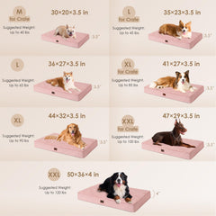 Base antideslizante de EHEYCIGA mejora seguridad en el suelo
