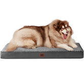 Cama ortopédica XXL EHEYCIGA para perro gris, 50x36, soporte cómodo.