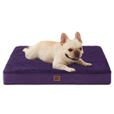 Cama ortopédica EHEYCIGA para perros pequeños en morado 30x20