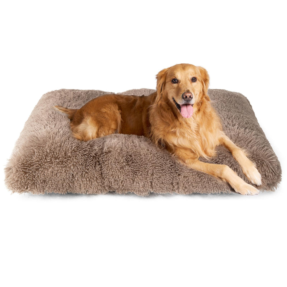Cama EHEYCIGA XL con acolchado suave para descanso de perros grandes.