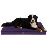 Cama ortopédica XXL EHEYCIGA 50x36 cm en púrpura para perros grandes