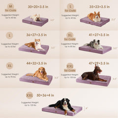 Cubierta desmontable de la cama EHEYCIGA para lavado fácil