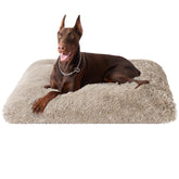 EHEYCIGA Fluffy XXL: cama suave tipo peluche para mayor confort del perro