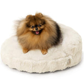 Sofá cama para gatos EHEYCIGA en crema, cómodo y acogedor.