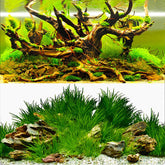 ELEBOX fondo acuario algas coloridas, añade realismo y durabilidad a tu tanque.