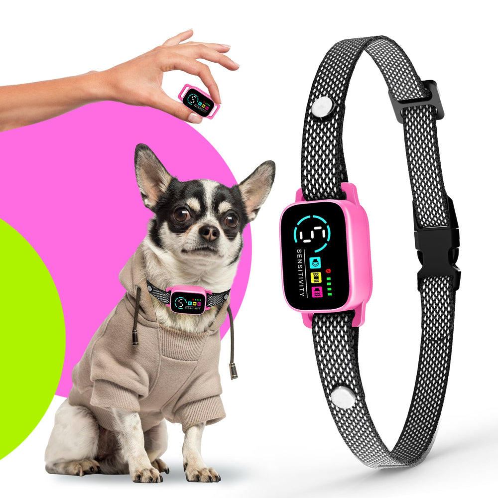 Collar ELECANE anti-ladridos para perros pequeños, diseñado para un comportamiento más tranquilo.