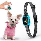 Elecane collar anti-ladrido azul, vista frontal para perros pequeños.