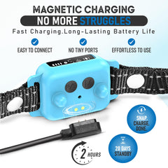 Elecane collar con cargador magnético, recarga rápida y fácil.