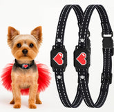 Collar ELECANE: ladrido-perros-pequeños, ajuste suave para entrenamiento sin estrés.