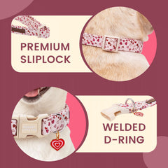 Collar ajustable para perros grandes de Elegant little tail