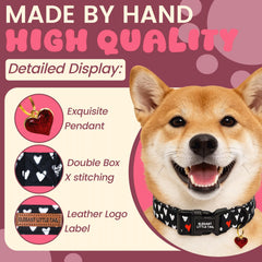 Elegant little tail collar ajustable para perros grandes y cómodos.