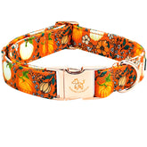 Collar Elegant Little Tail con calabaza, ideal para fiestas de otoño.