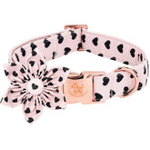 Elegant little tail collar con corazones rosa y negro para paseos con estilo.