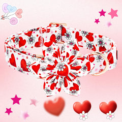 Con cosido doble para mayor durabilidad en collar Elegant little tail