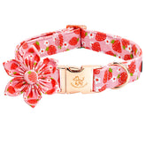 Elegant little tail collar flor estampado fresa, añade estilo y comodidad.