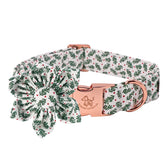 Collar de Elegant little tail con flor navideña para perros pequeños.