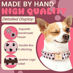 Elegant little tail collar flor removible para cambiar el look.