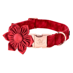 Elegant little tail collar flor removible: añade estilo y comodidad a cada paseo.