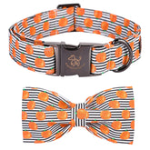 Elegant little tail collar con impresión de calabaza, ideal para fiestas de calabaza.