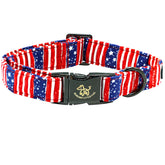 Collar Elegant Little Tail con independencia para perro, ideal para festivales y paseos.
