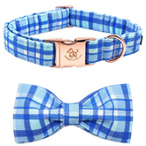 Elegant Little Tail collar con lazo azul a cuadros y hebilla metálica para paseos con estilo