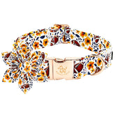 Elegant little tail collar otoño con lazo calabaza, ideal para paseos con estilo y comodidad.