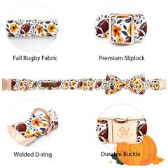 Elegant little tail collar estampado rugby ideal para perros activos y visibles.