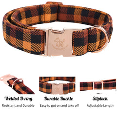 Elegant little tail collar con hebilla metálica duradera para seguridad