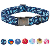 Collar Elegant little tail con patrón tiburón azul en frente, ideal para paseos diarios
