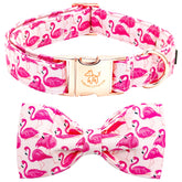 collar Elegant little tail para perros con flamencos rosas, ideal para paseos
