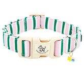 Collar Elegant Little Tail rosa con franja verde, ideal para paseos.