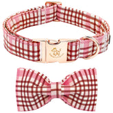 Elegant little tail collar rosa con lazo para paseos diarios