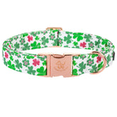 Collar Elegant Little Tail San Patricio Verde Trebol, ideal para paseos con estilo durante las fiestas