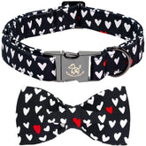Elegant little tail collar, corazón negro para paseos elegantes.