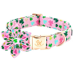 Elegant little tail collar St Patrick con flor verde para paseos festivos.