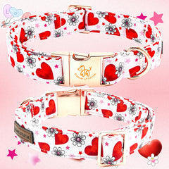 Talla 8-12 pulgadas del collar Elegant little tail