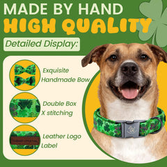 Moño Elegant little tail unido al collar verde para ocasiones festivas.