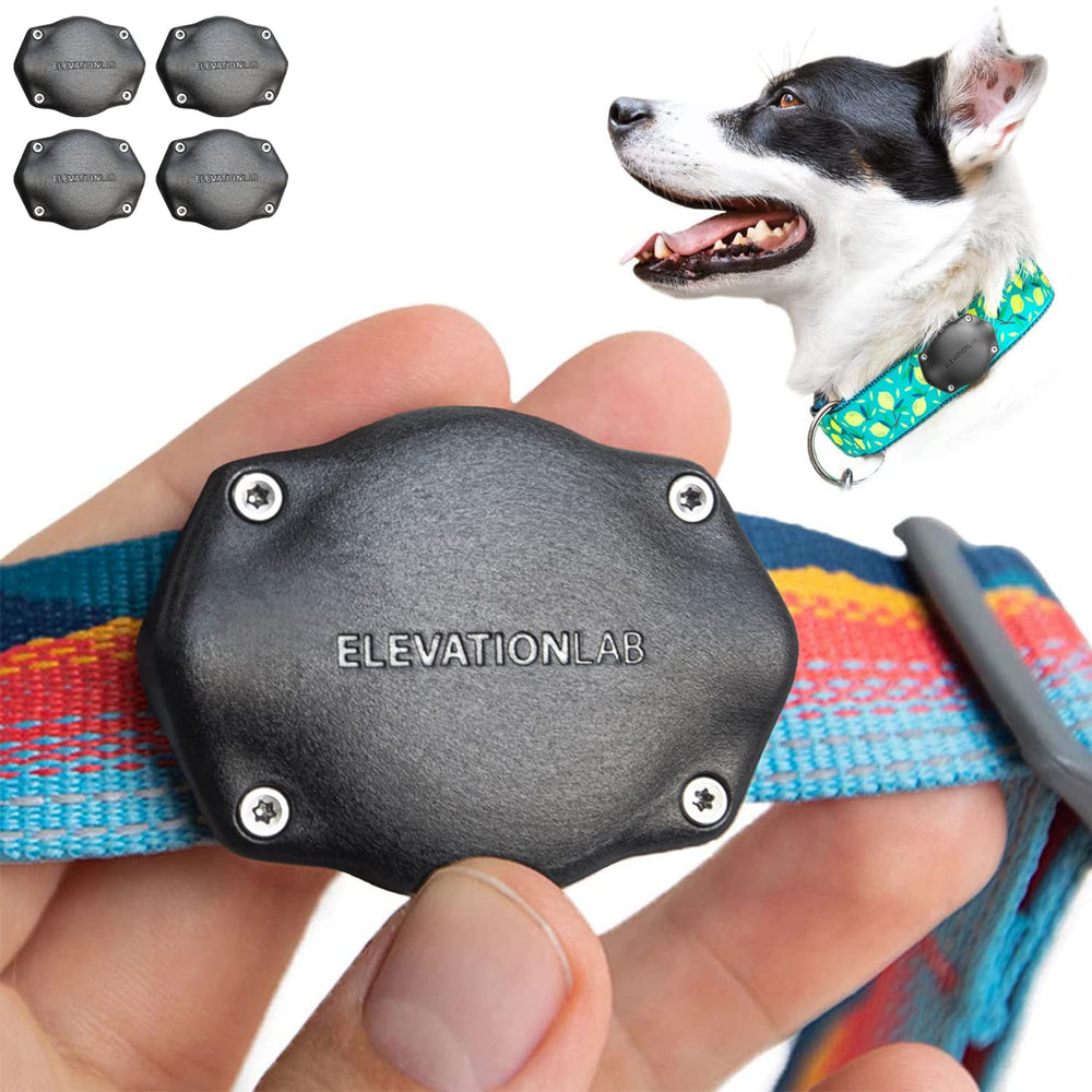 Elevation Lab TagVault AirTag Collar Mount: montaje seguro para collar de perro.