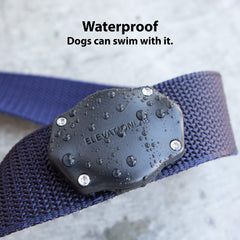 Elevation Lab TagVault AirTag Collar Mount: evita que cuelgue durante caminatas.