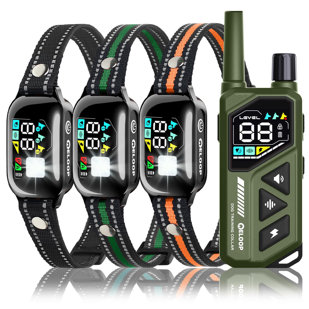 ELOOP collar de entrenamiento para tres perros, visión frontal.