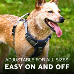 Arnés Embark Pets Aventura XL en nylon Oxford resistente para uso diario.