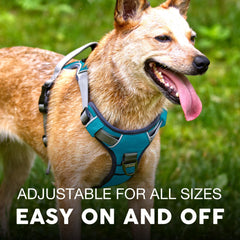 Embark Pets arnés perro aventura ajuste extendido para un ajuste cómodo.
