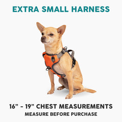 Arnés Embark Pets con clip trasero para paseos diarios