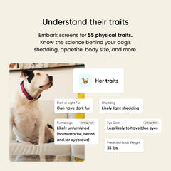 Embark prueba ADN para perro: características físicas y rasgos visibles