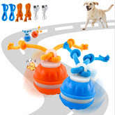emeqzoa P06, bola interactiva en movimiento para perros activos y entretenidos